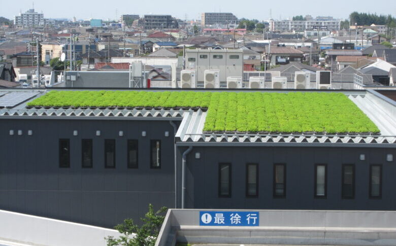 折板屋根の屋上緑化